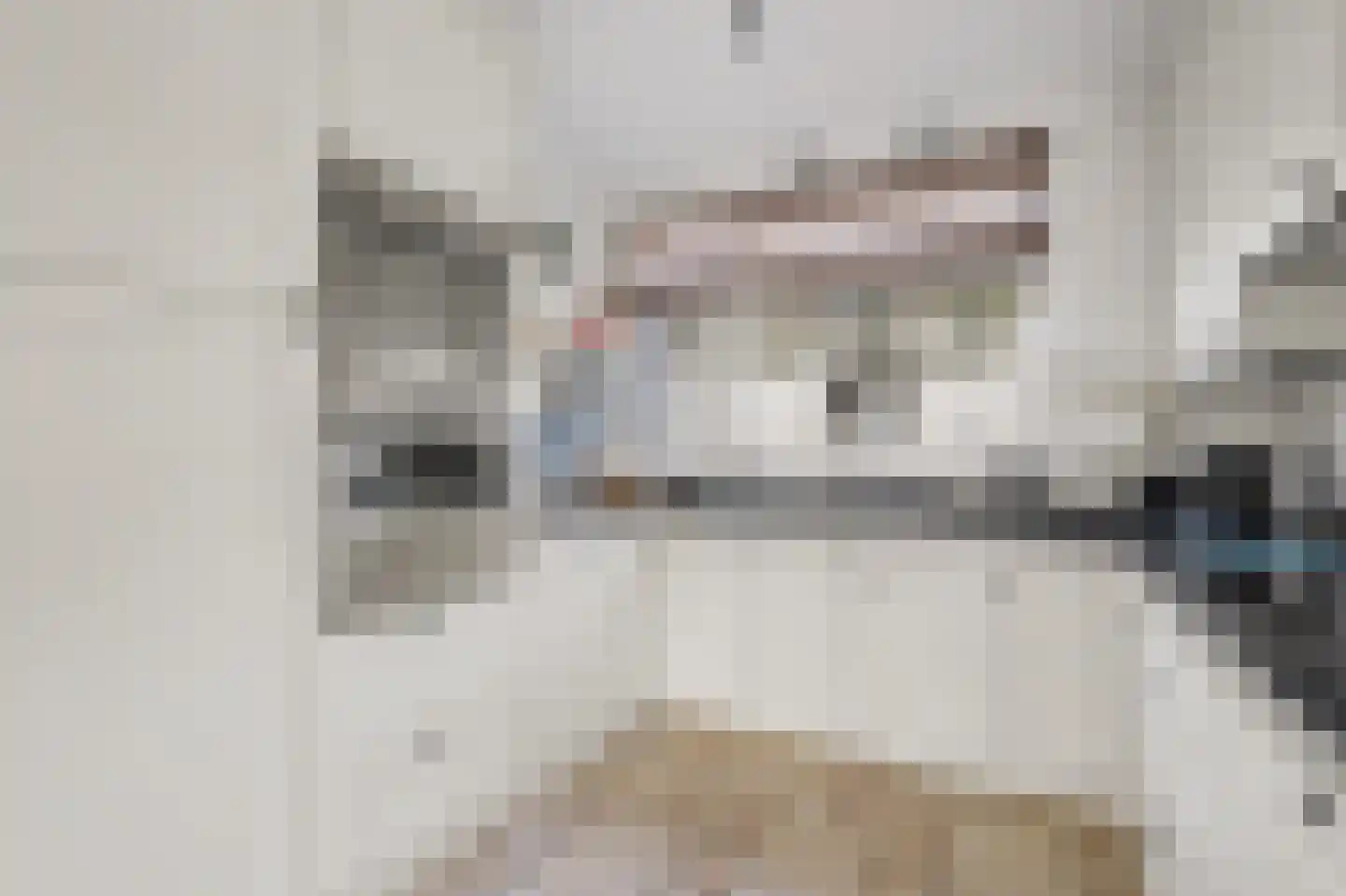 Bliek 38 Ridderkerk thumbnail 18