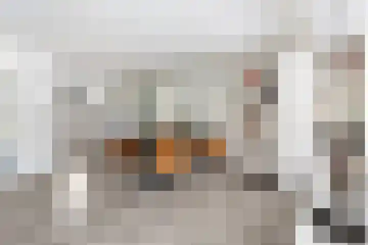 Bliek 49 Ridderkerk thumbnail 10