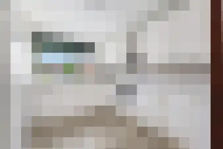 Bliek 49 Ridderkerk thumbnail 13