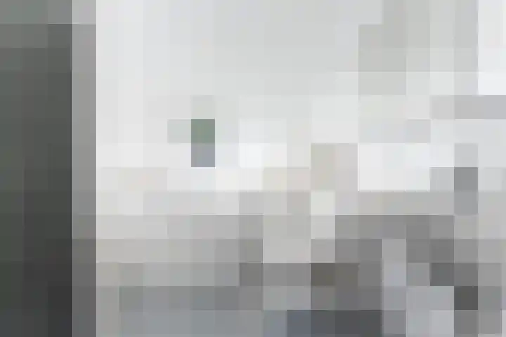 Bliek 49 Ridderkerk thumbnail 24