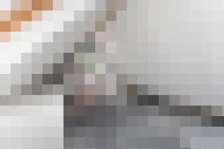 Bliek 49 Ridderkerk thumbnail 28