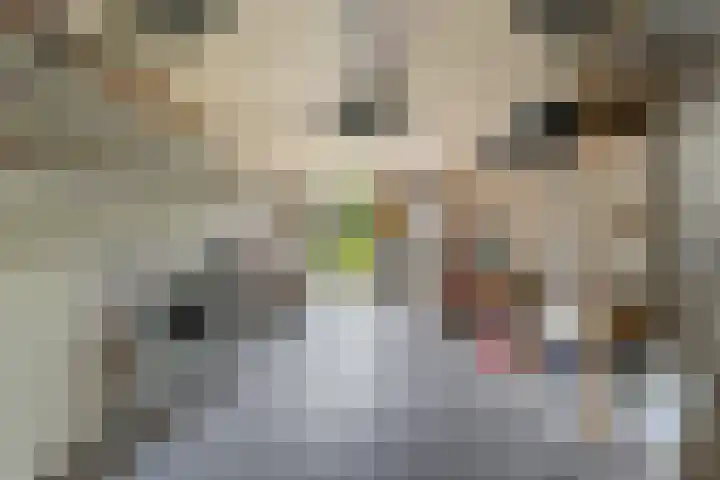 Bliek 49 Ridderkerk thumbnail 30