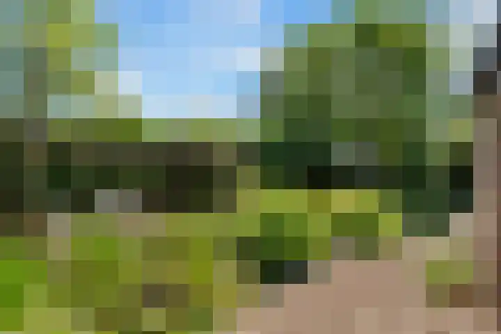 Bliek 49 Ridderkerk thumbnail 31