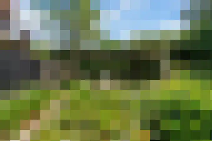 Bliek 49 Ridderkerk thumbnail 32