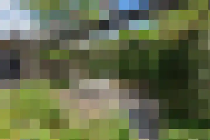 Bliek 49 Ridderkerk thumbnail 33