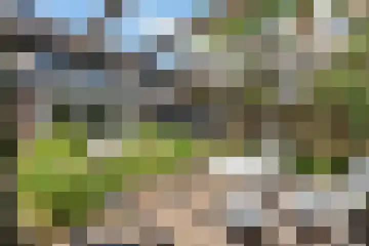 Bliek 49 Ridderkerk thumbnail 34