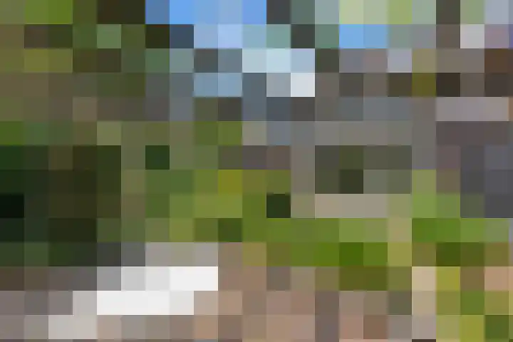 Bliek 49 Ridderkerk thumbnail 35