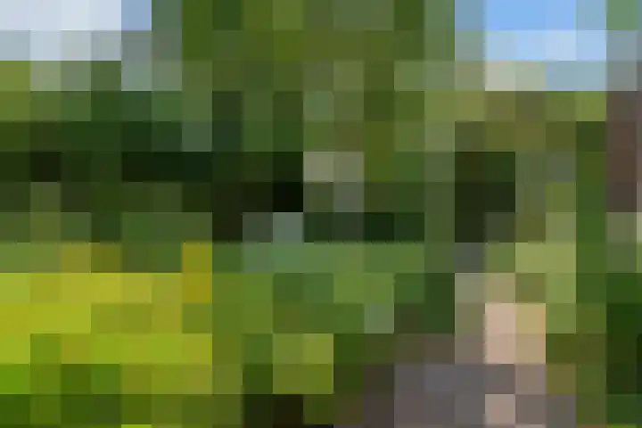 Bliek 49 Ridderkerk thumbnail 36