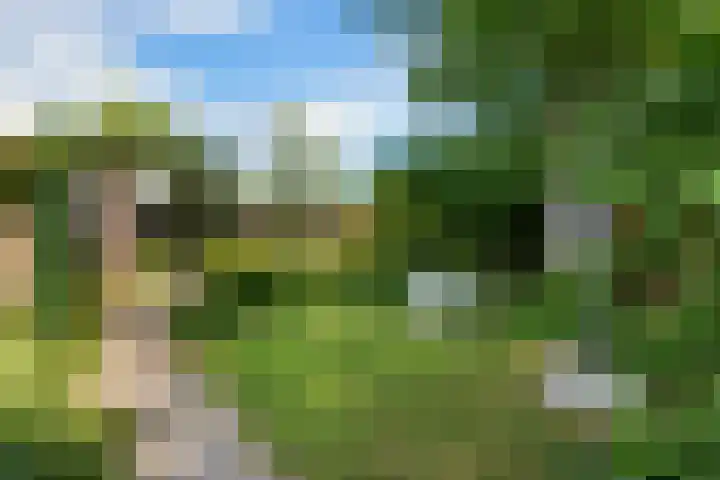 Bliek 49 Ridderkerk thumbnail 37