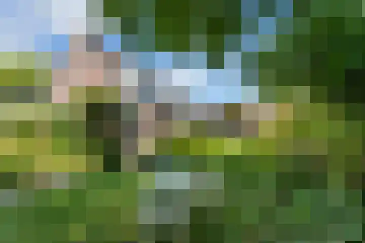 Bliek 49 Ridderkerk thumbnail 38