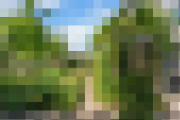 Bliek 49 Ridderkerk thumbnail 39