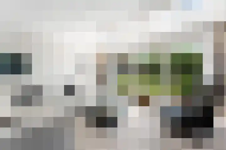 Bliek 49 Ridderkerk thumbnail 4
