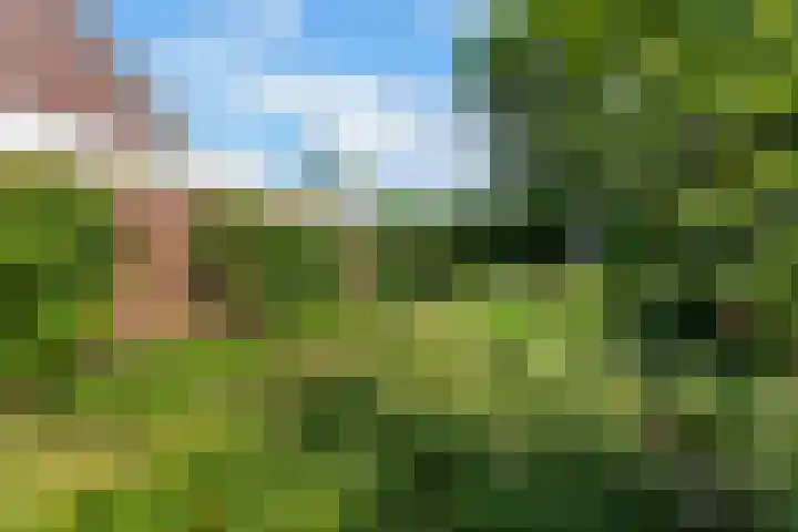 Bliek 49 Ridderkerk thumbnail 40