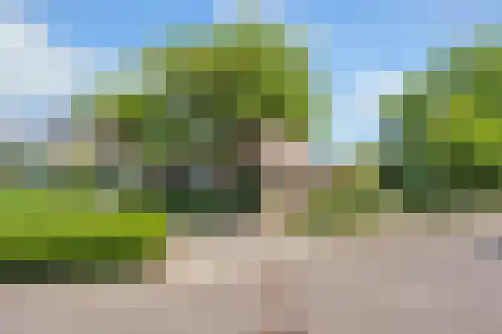 Bliek 49 Ridderkerk thumbnail 41
