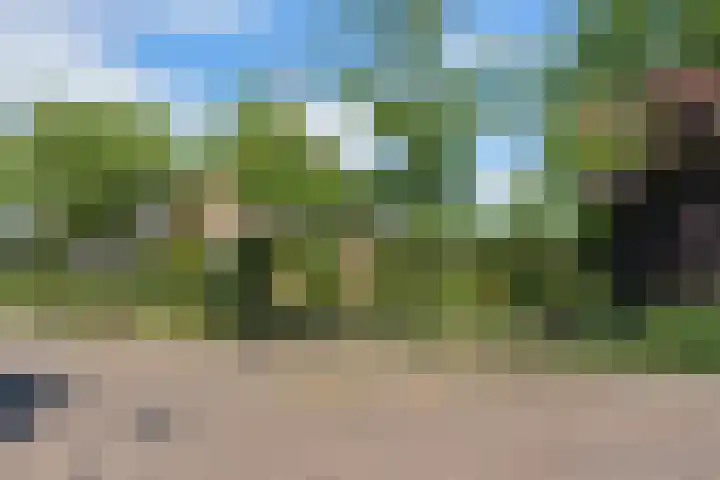 Bliek 49 Ridderkerk thumbnail 43