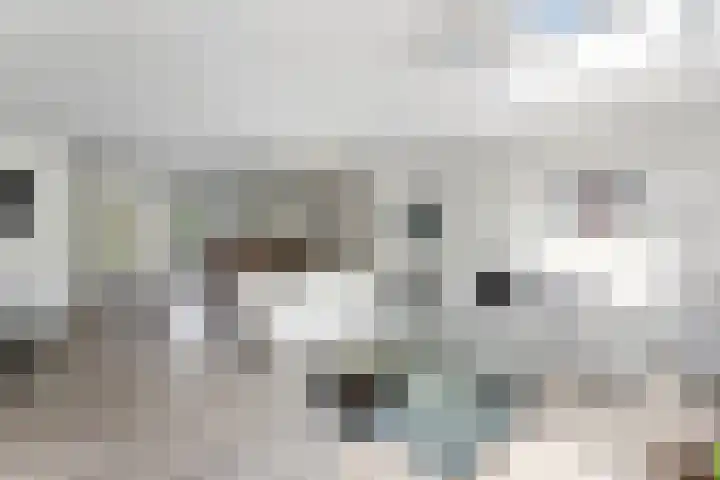 Bliek 49 Ridderkerk thumbnail 5