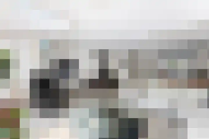 Bliek 49 Ridderkerk thumbnail 6