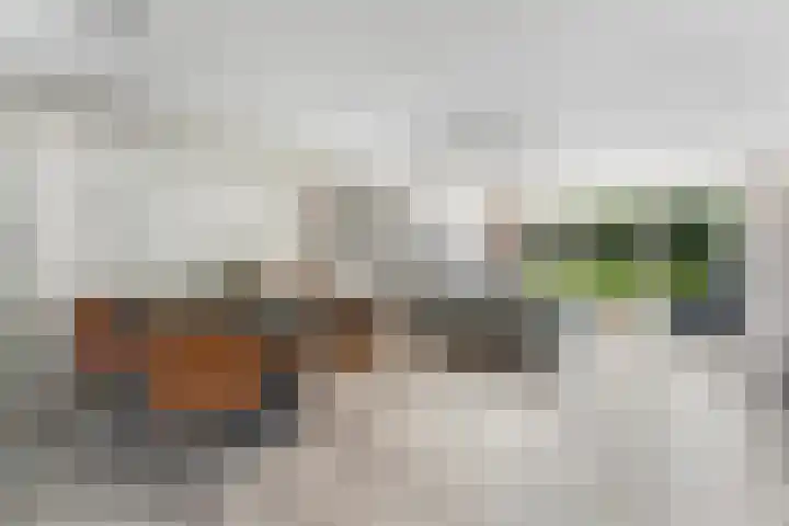 Bliek 49 Ridderkerk thumbnail 9