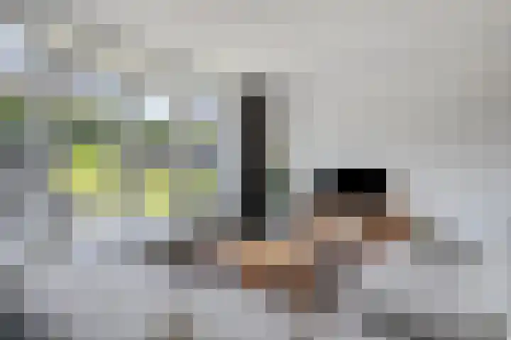 Bliek 5 Hendrik-Ido-Ambacht thumbnail 10