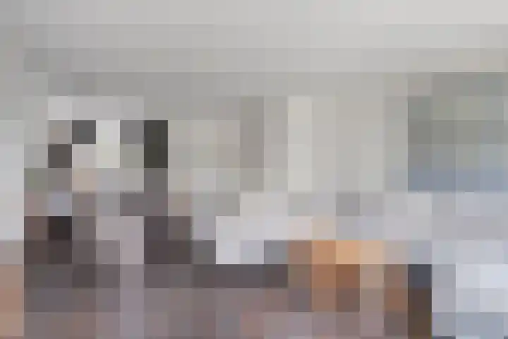 Bliek 5 Hendrik-Ido-Ambacht thumbnail 11