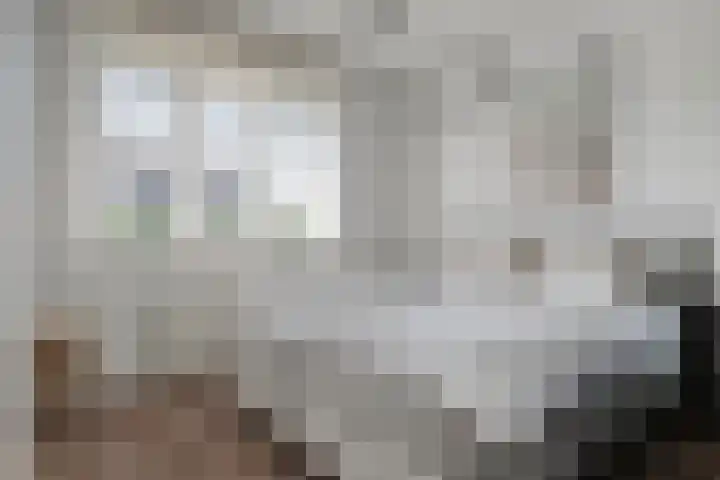 Bliek 5 Hendrik-Ido-Ambacht thumbnail 20