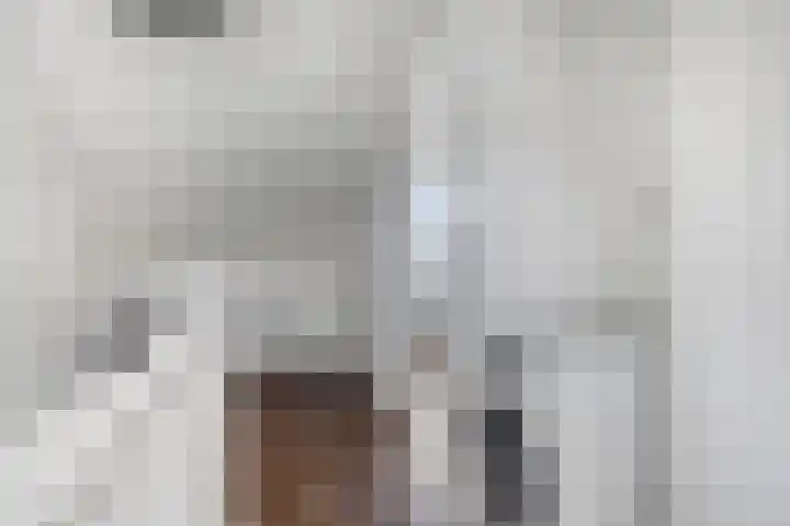 Bliek 5 Hendrik-Ido-Ambacht thumbnail 29