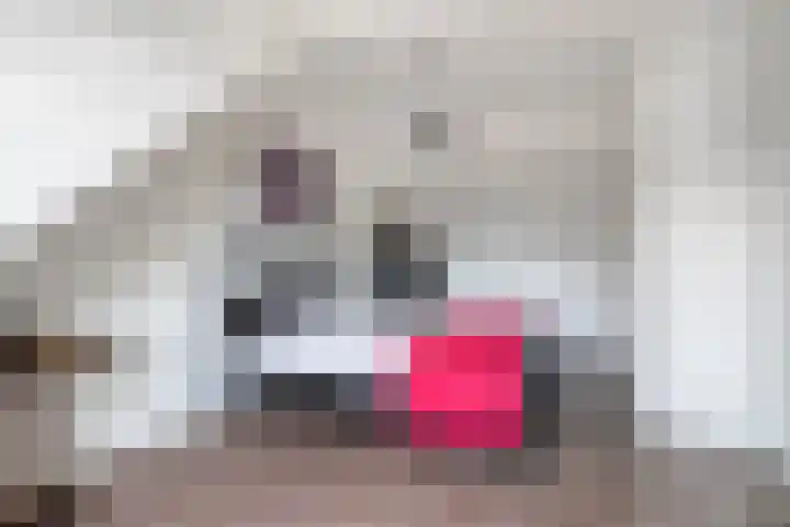 Bliek 5 Hendrik-Ido-Ambacht thumbnail 31