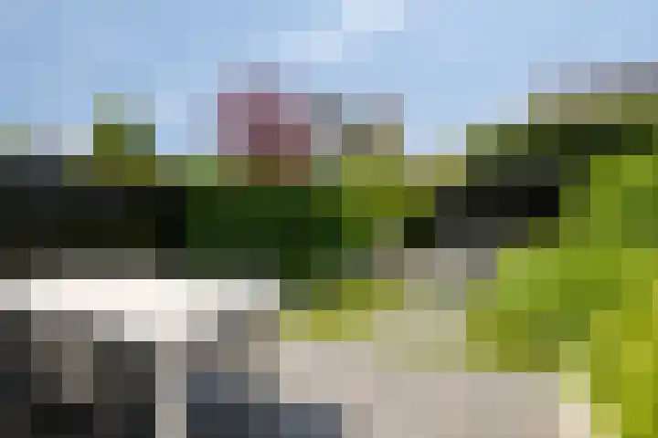 Bliek 5 Hendrik-Ido-Ambacht thumbnail 33