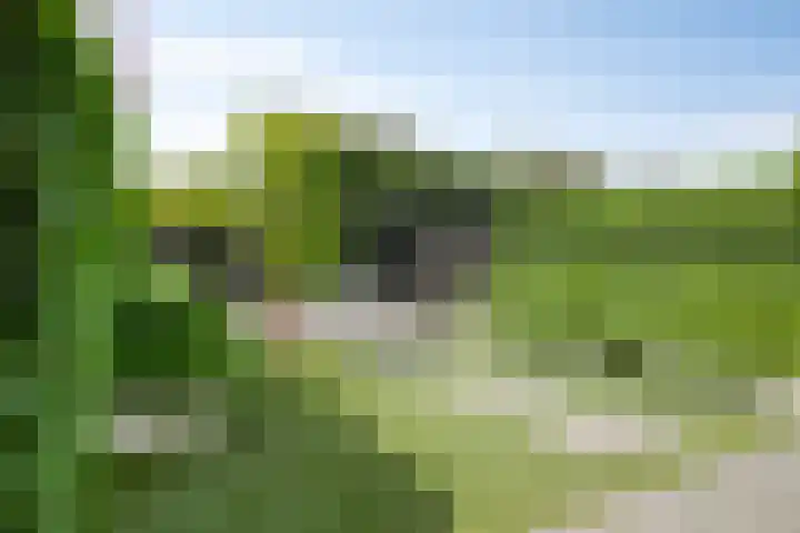 Bliek 5 Hendrik-Ido-Ambacht thumbnail 37
