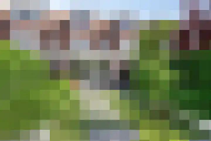 Bliek 5 Hendrik-Ido-Ambacht thumbnail 40