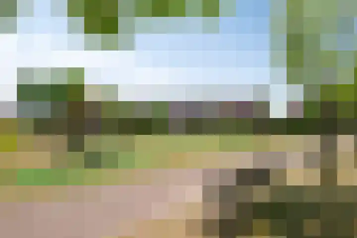 Bliek 5 Hendrik-Ido-Ambacht thumbnail 53