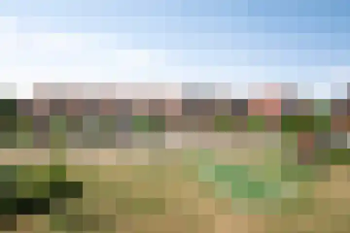 Bliek 5 Hendrik-Ido-Ambacht thumbnail 55
