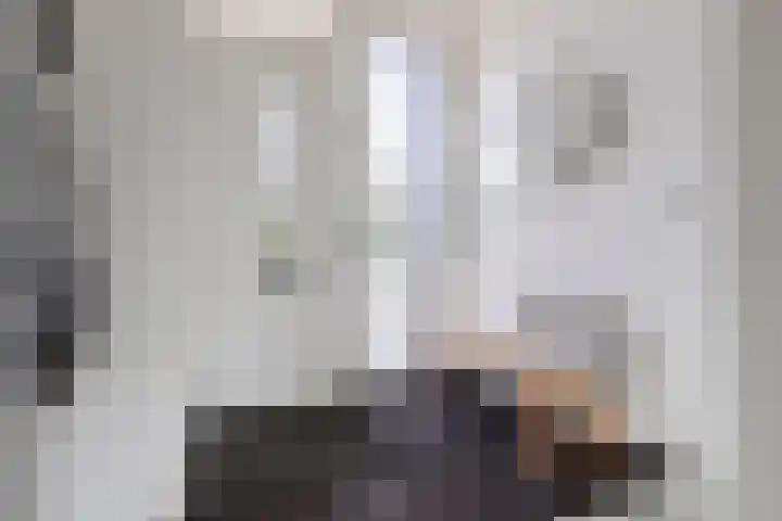Bliek 5 Hendrik-Ido-Ambacht thumbnail 7