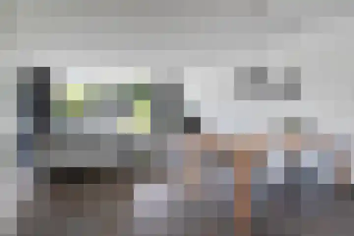 Bliek 5 Hendrik-Ido-Ambacht thumbnail 9