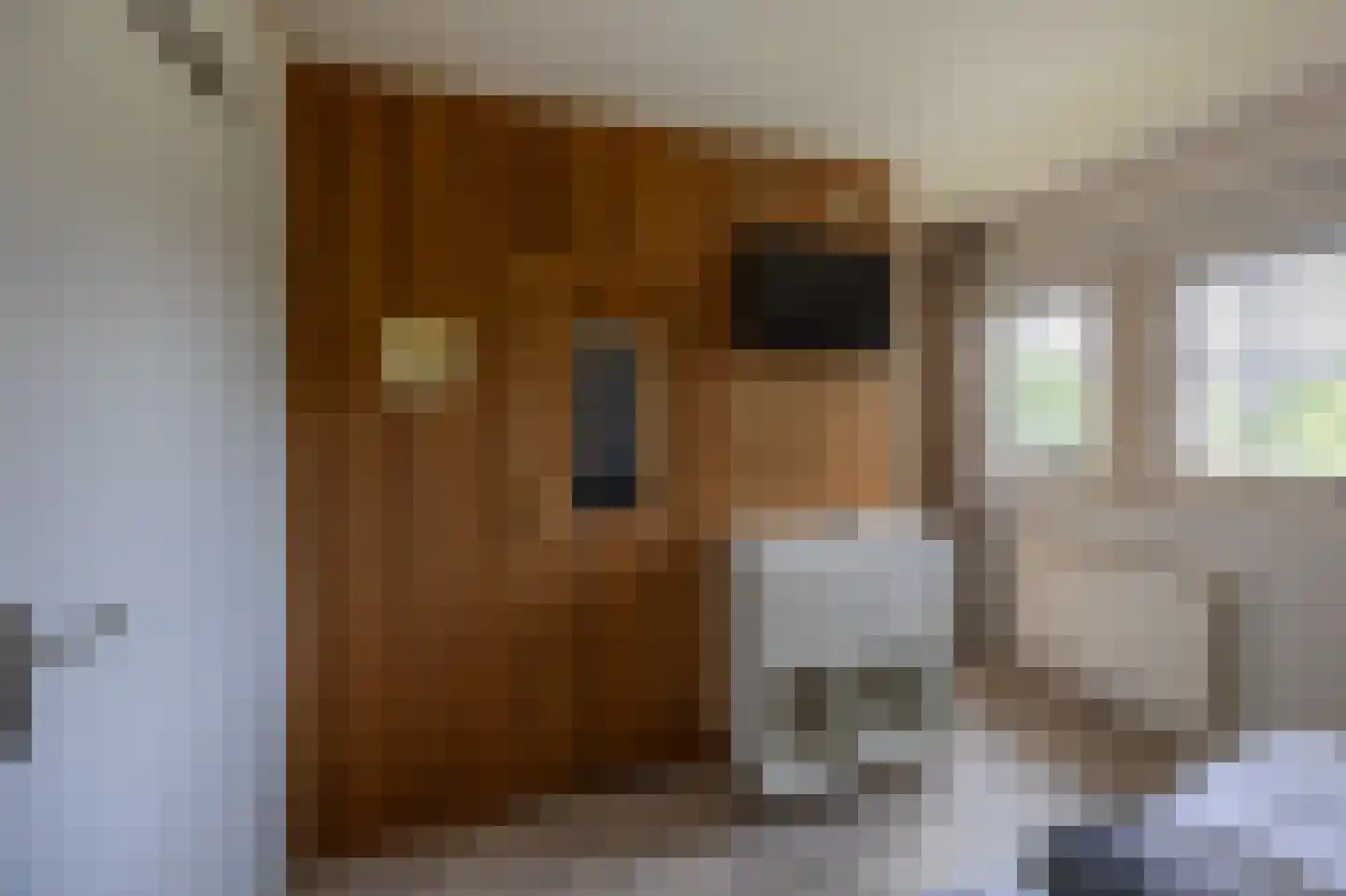 Bliekeduun 18 Hollum thumbnail 18