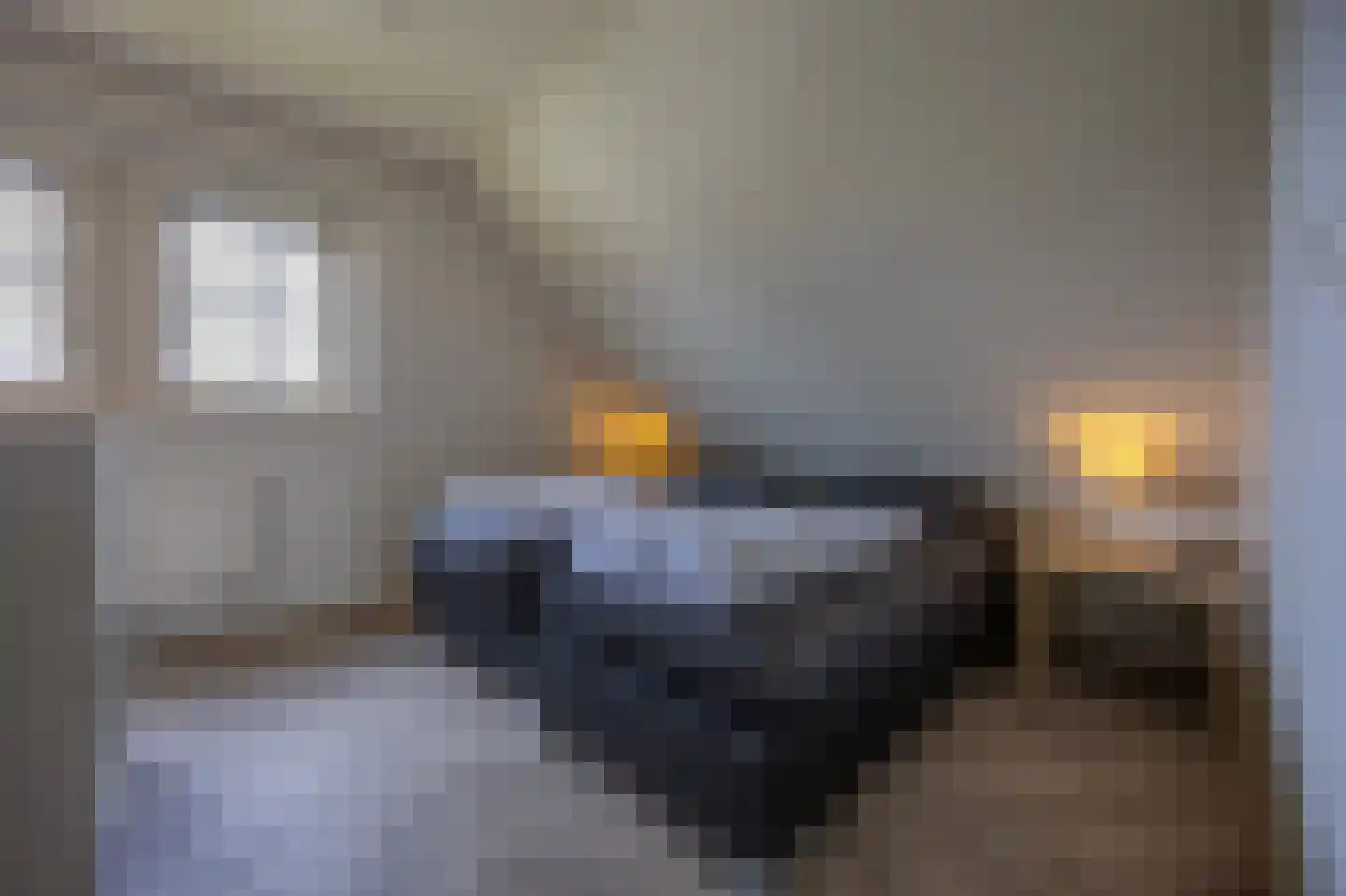 Bliekeduun 18 Hollum thumbnail 19