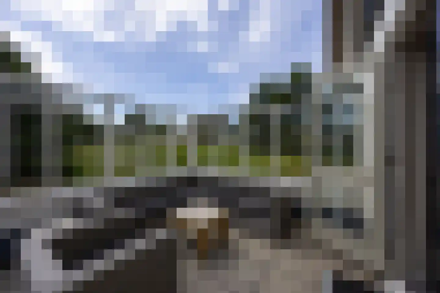 Bliekeduun 18 Hollum thumbnail 22