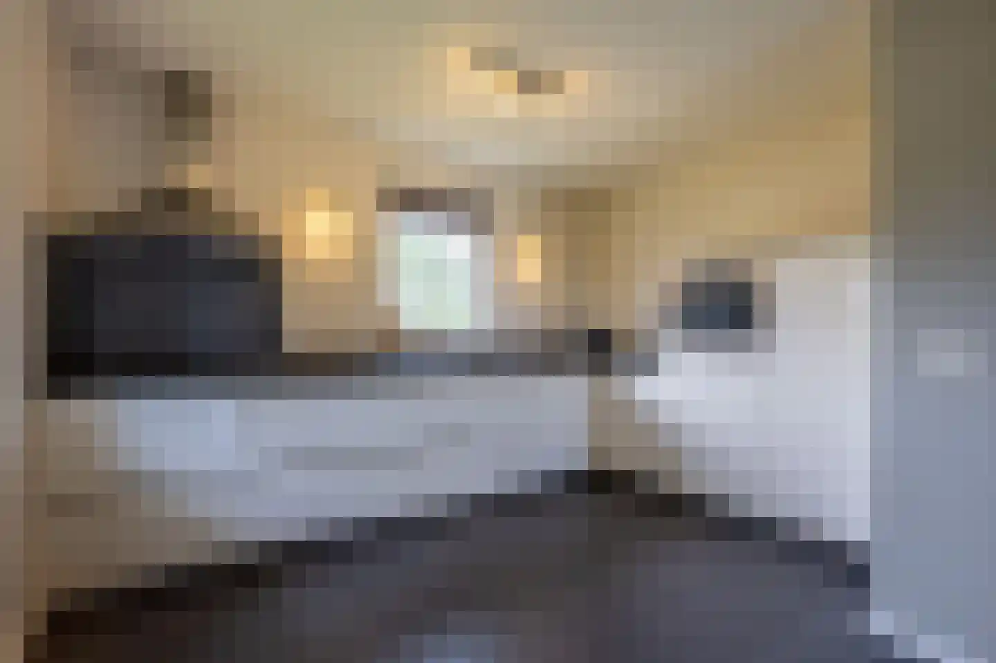 Bliekeduun 18 Hollum thumbnail 4