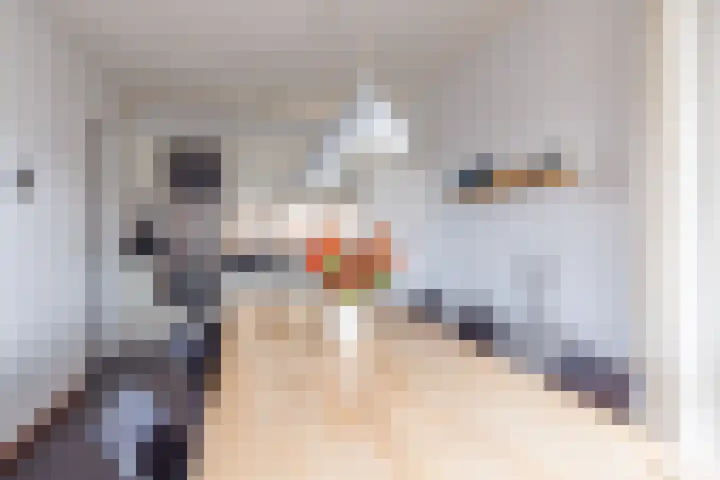 Bliekeduun 28 Hollum thumbnail 10