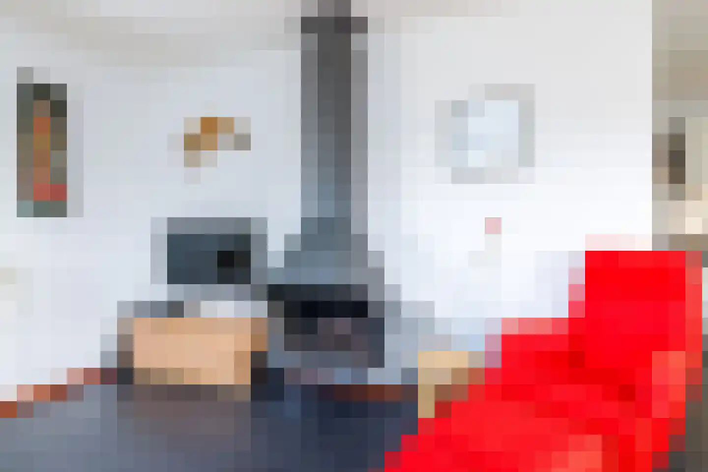 Bliekeduun 28 Hollum thumbnail 13