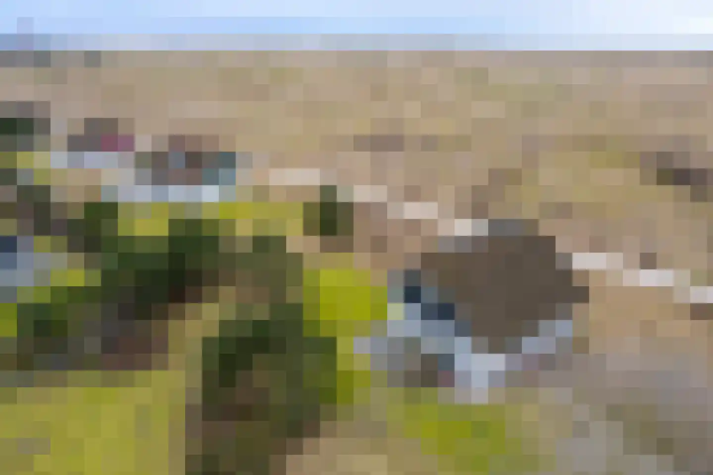 Bliekeduun 28 Hollum thumbnail 35