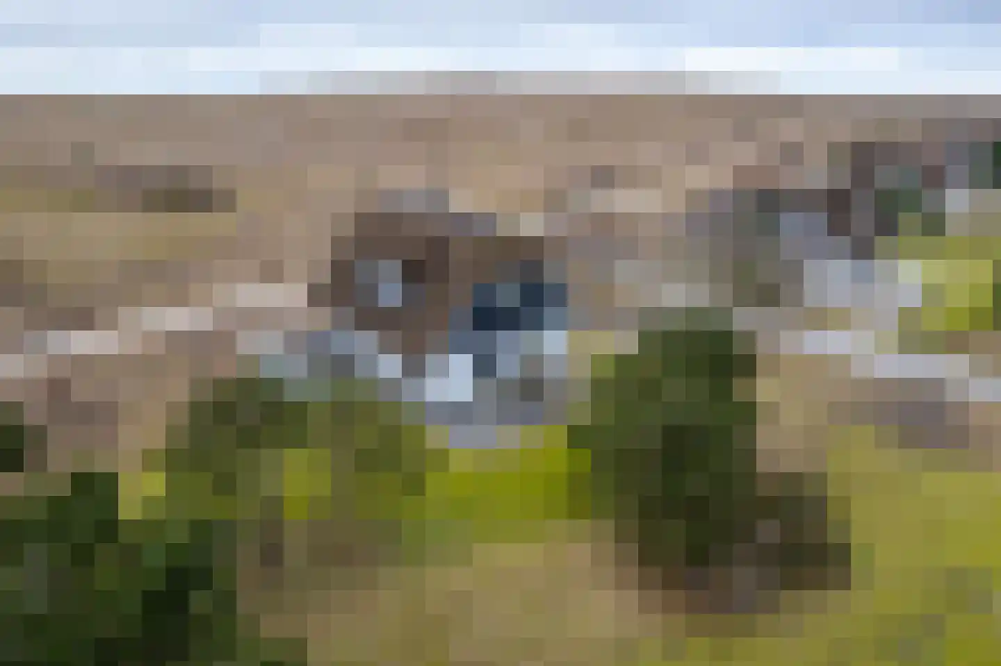 Bliekeduun 28 Hollum thumbnail 36