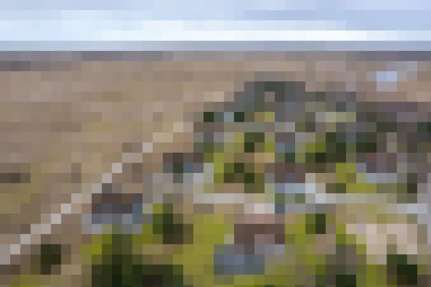 Bliekeduun 28 Hollum thumbnail 37