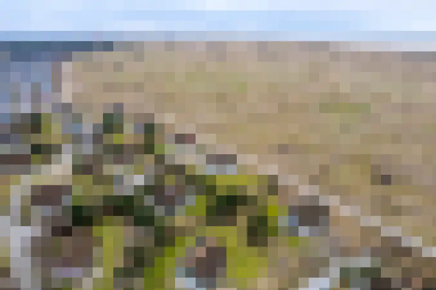 Bliekeduun 28 Hollum thumbnail 39