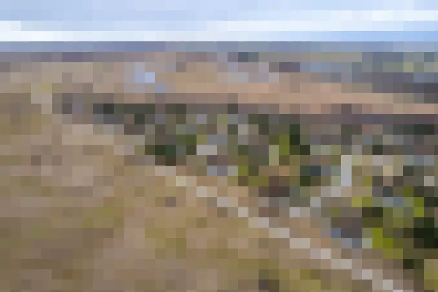 Bliekeduun 28 Hollum thumbnail 41
