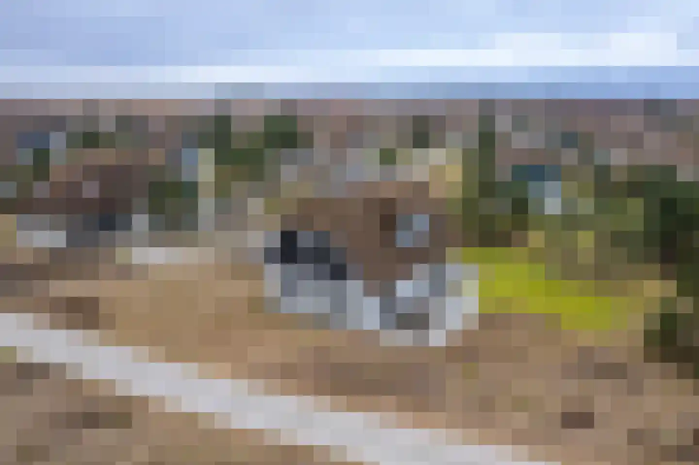 Bliekeduun 28 Hollum thumbnail 42