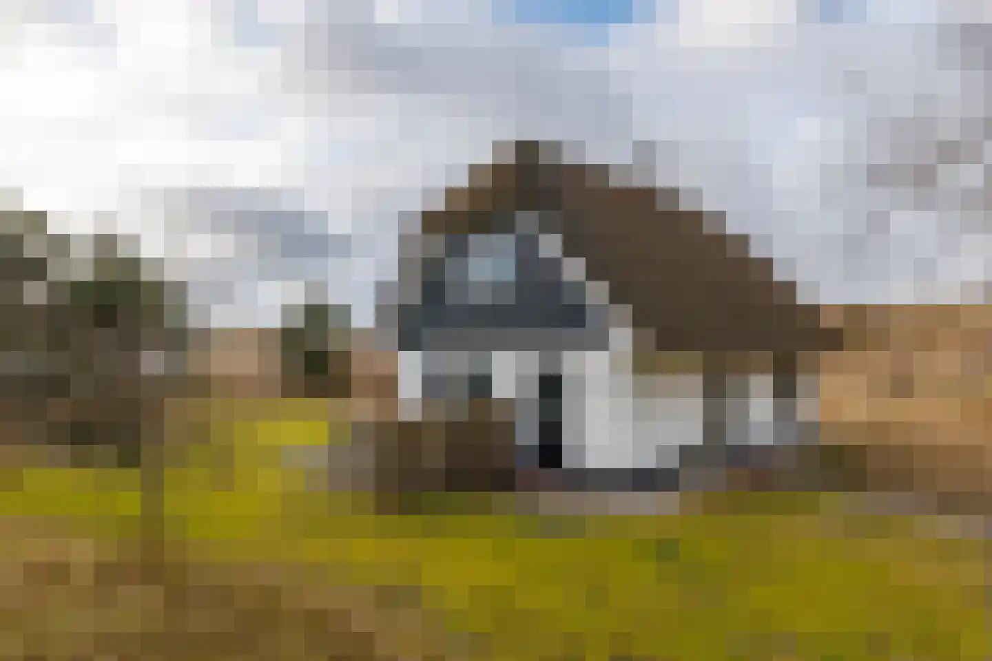 Bliekeduun 28 Hollum thumbnail 44