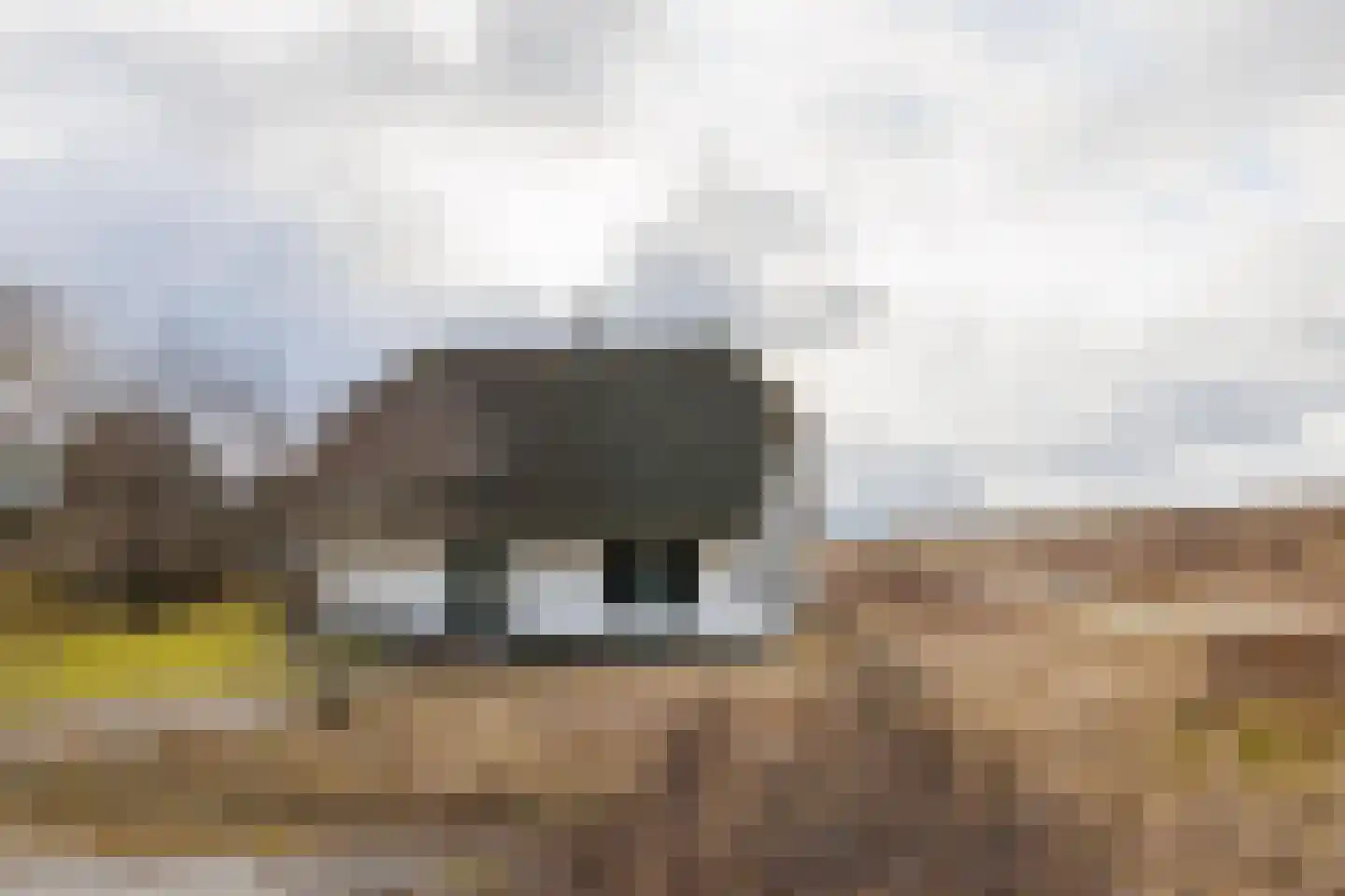 Bliekeduun 28 Hollum thumbnail 45