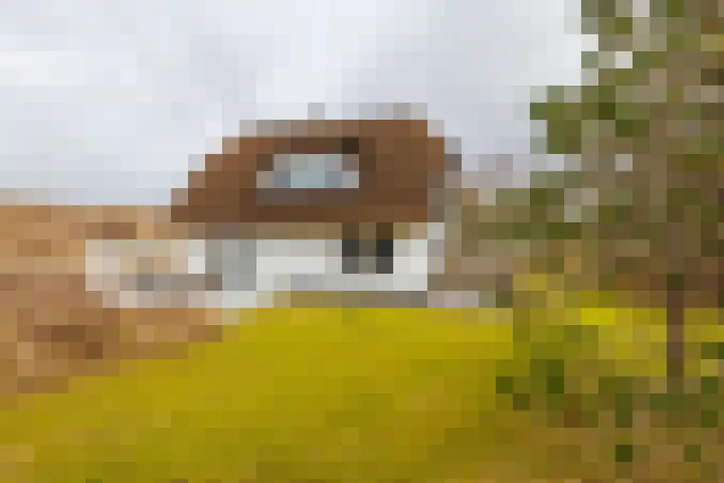 Bliekeduun 28 Hollum thumbnail 49