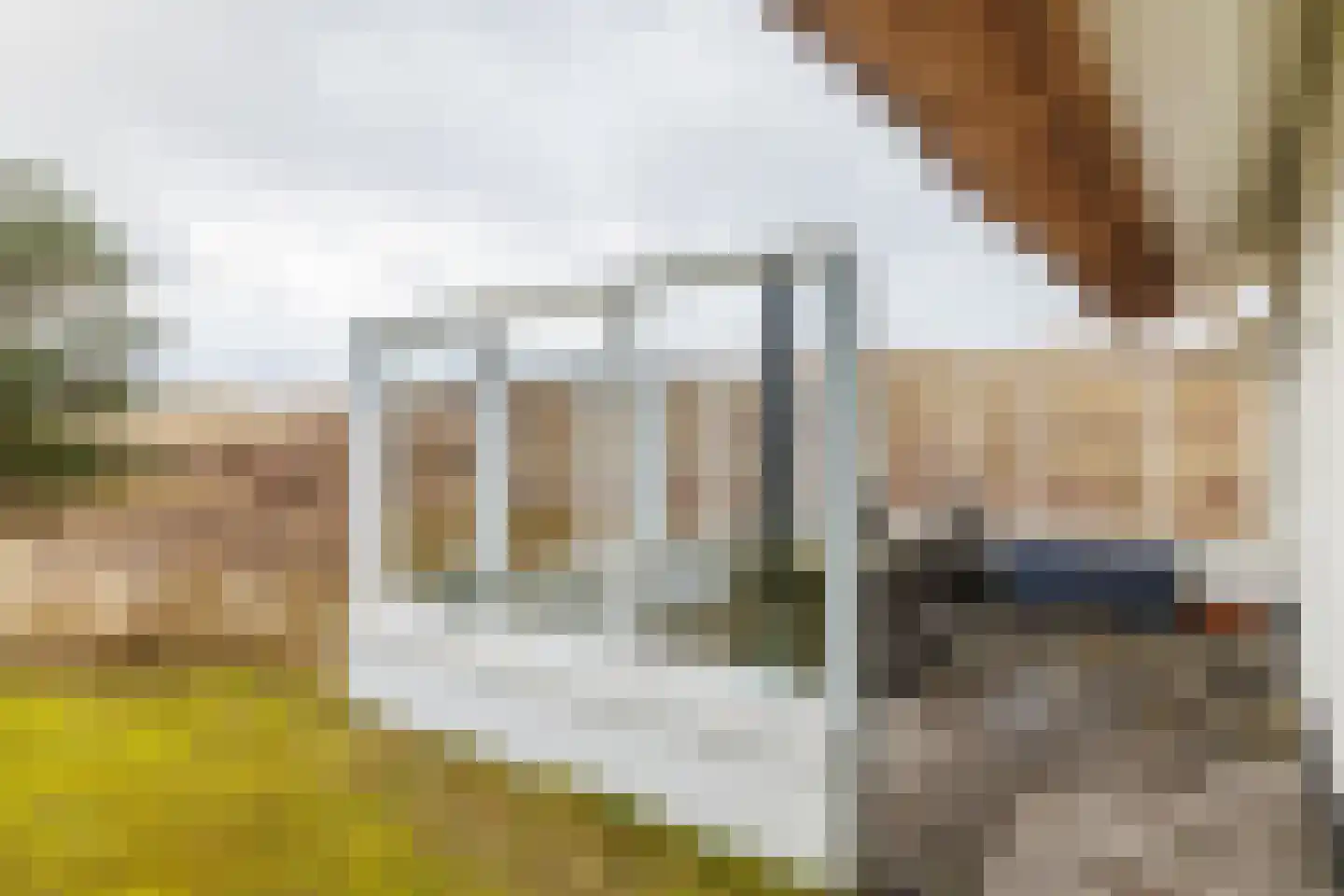 Bliekeduun 28 Hollum thumbnail 51